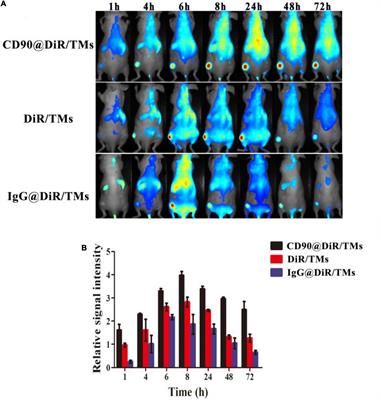 Facile Assembly of Thermosensitive Liposomes for Active Targeting Imaging and Synergetic Chemo-/Magnetic Hyperthermia Therapy